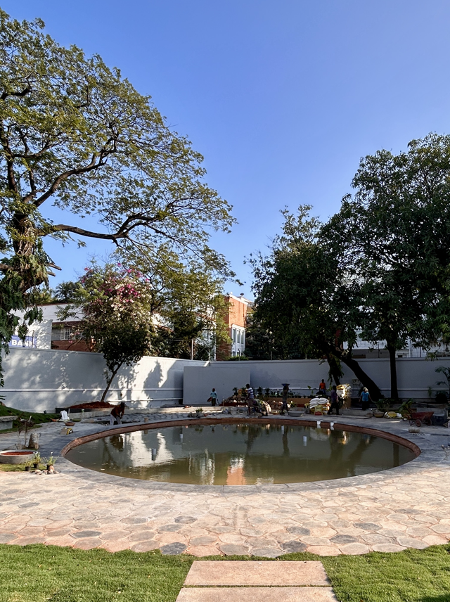 Pond & Reed Garden